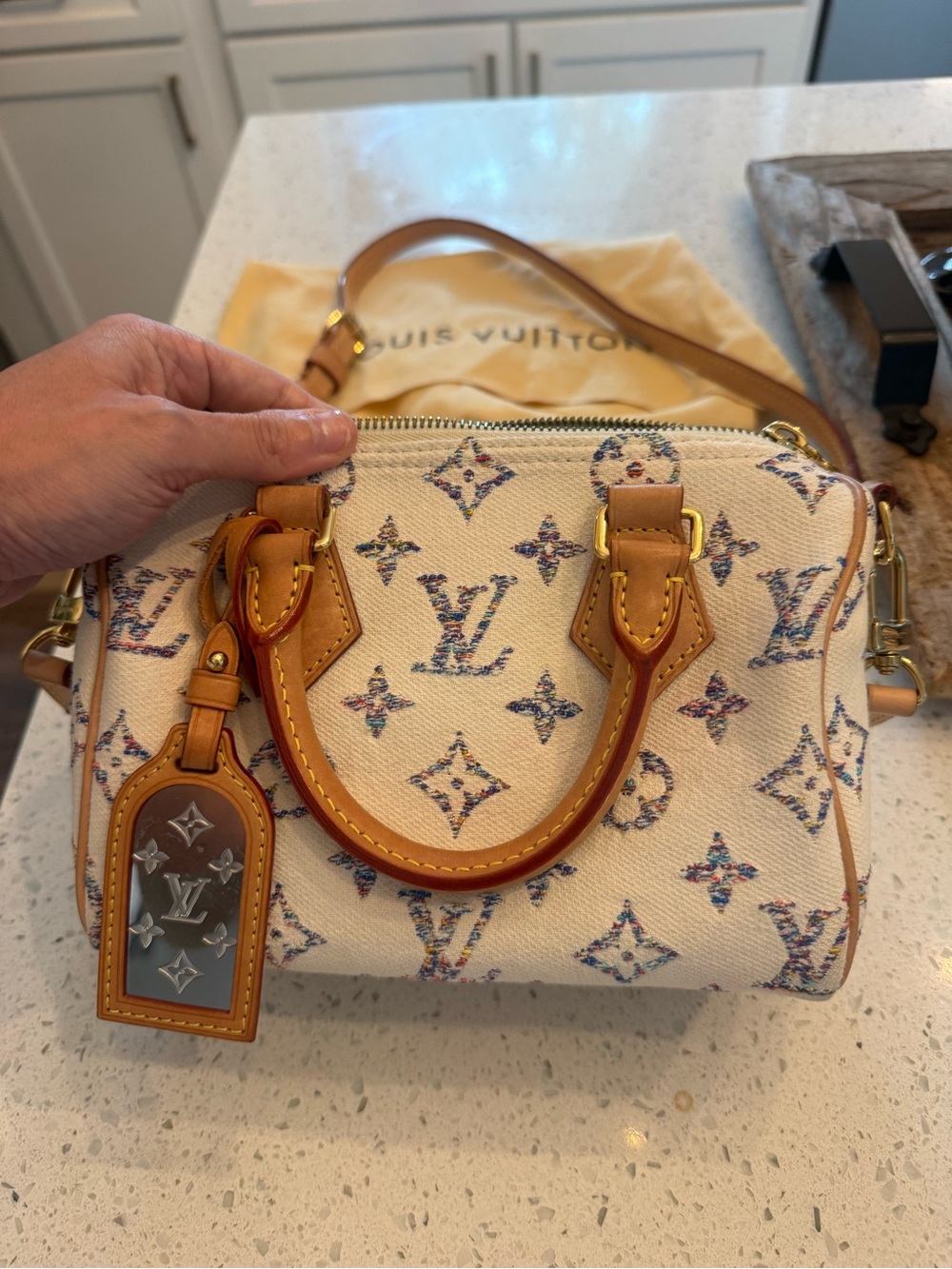 Louis Vuitton Textile Speedy 20-Limited Edition!